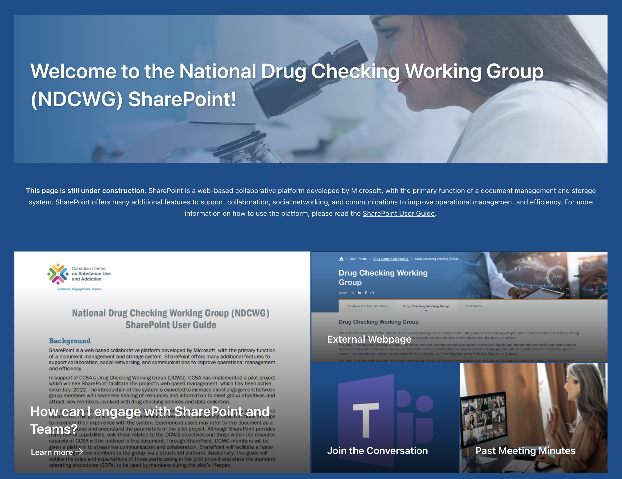 Screenshot of Drug Checking Working Group SharePoint